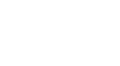 South African Mint logo